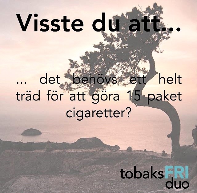 Bild på ett träd med texten Visste du att det behövs ett helt träd för att göra 15 paket cigaretter?