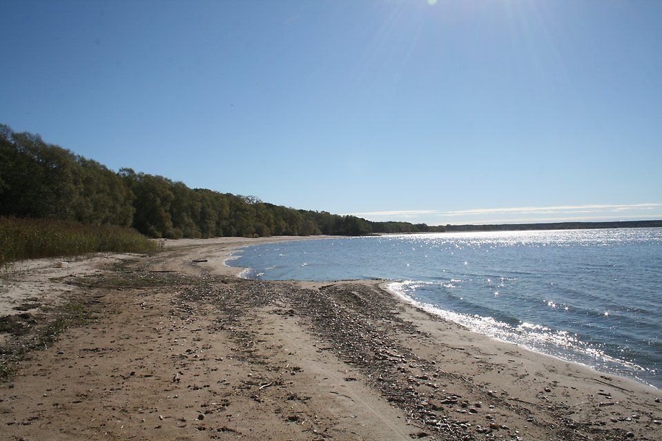 Vombjön vatten och strand o solljus