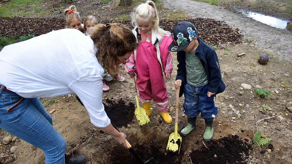 Barnen planterar en Lind ihop med specialpedagog Eva-Karin