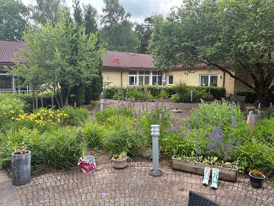 Björkbacken, utemiljö