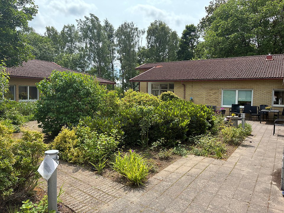 Björkbacken, utemiljö