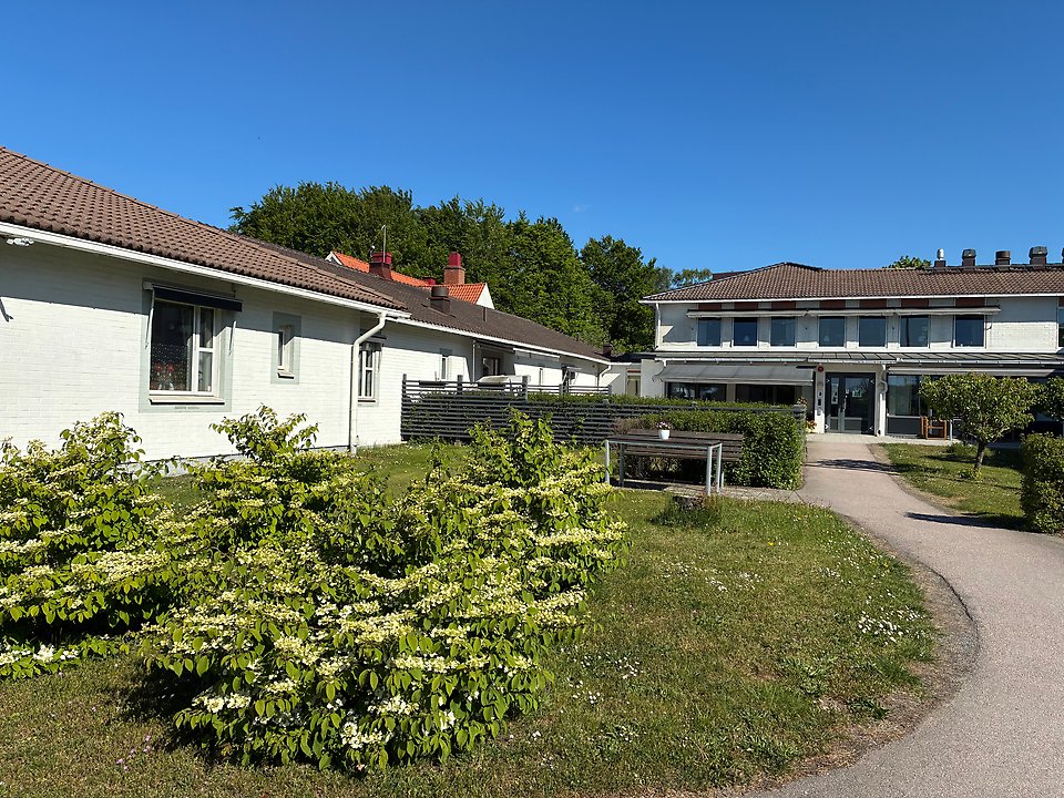 Ängsgården, utomhus